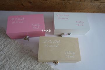 Dřevěná pokladnička se sovičkou